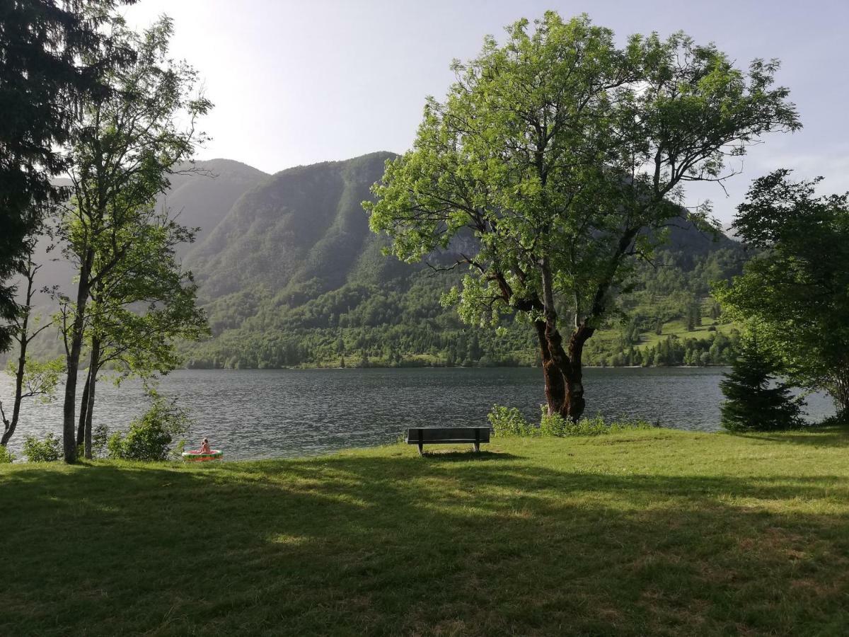 Apartment Mlakar Bohinj Exterior photo