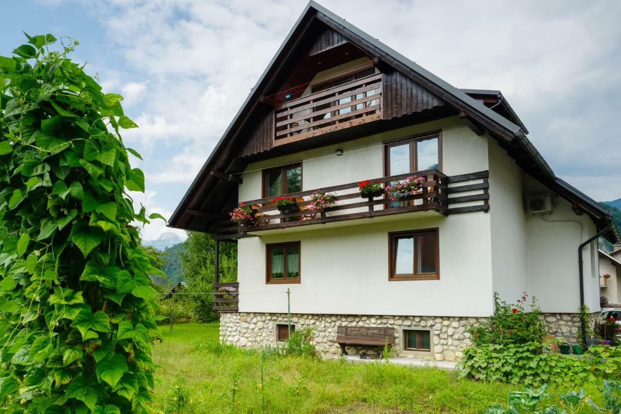 Apartment Mlakar Bohinj Exterior photo
